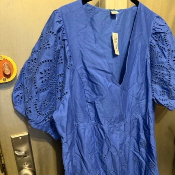 Retro V-Neck Eyelet Mini Dress with puff sleeves - Picture 10 of 16